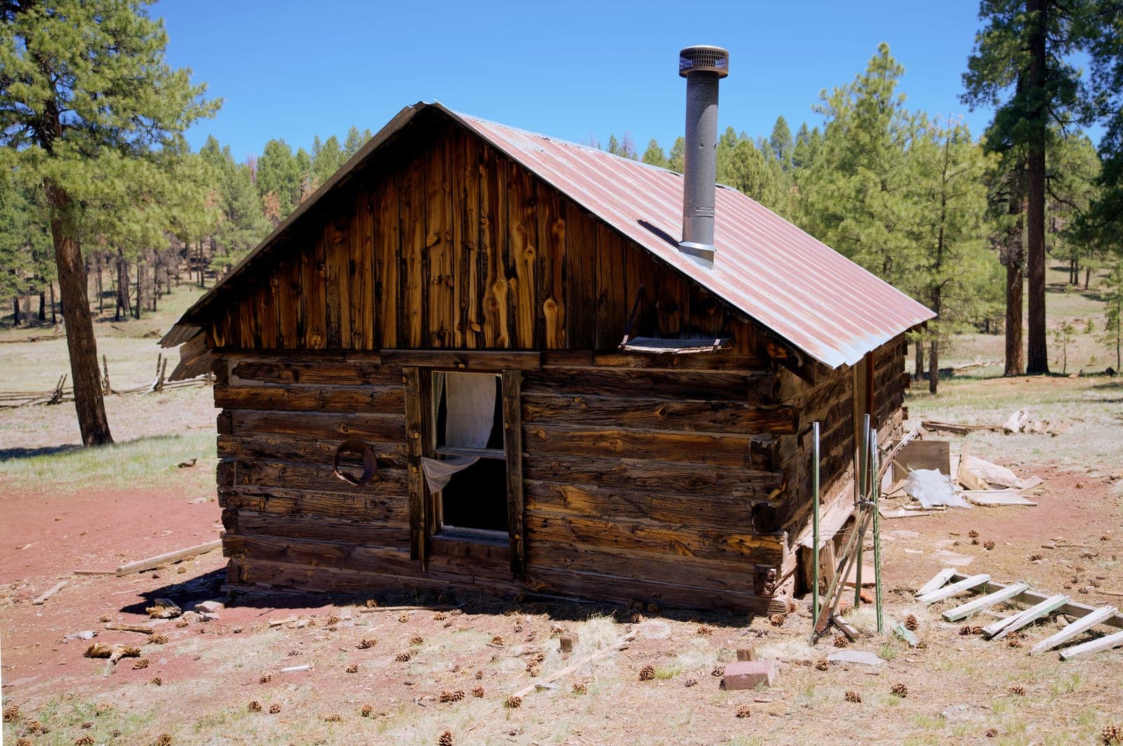 Brown wooden cabin in the woods
